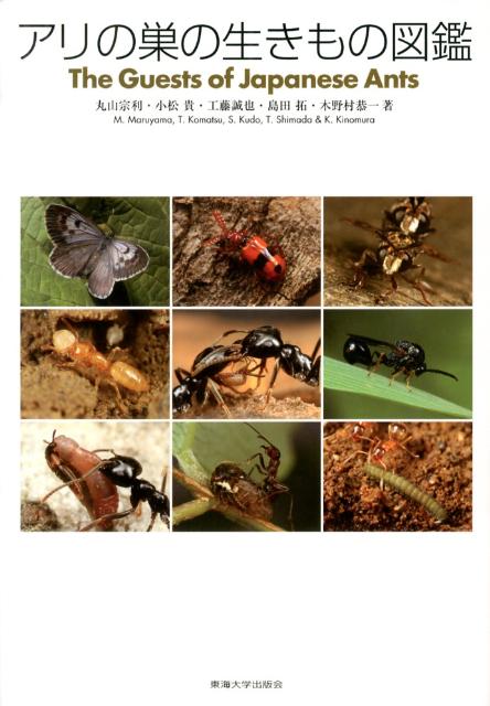【中古】アリの巣の生きもの図鑑/東海大学出版部/丸山宗利（大型本）