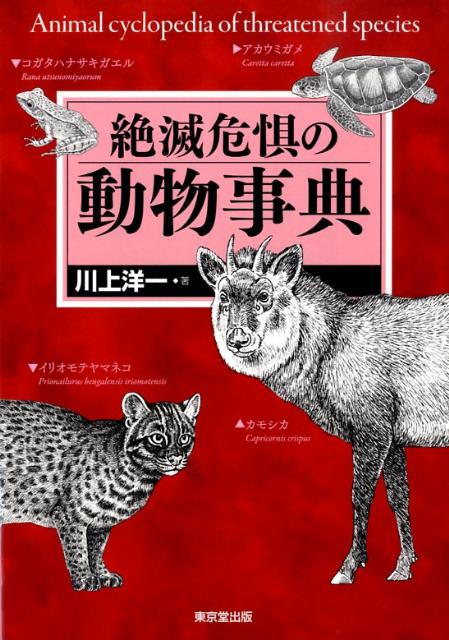 【中古】絶滅危惧の動物事典/東京堂出版/川上洋一（単行本）