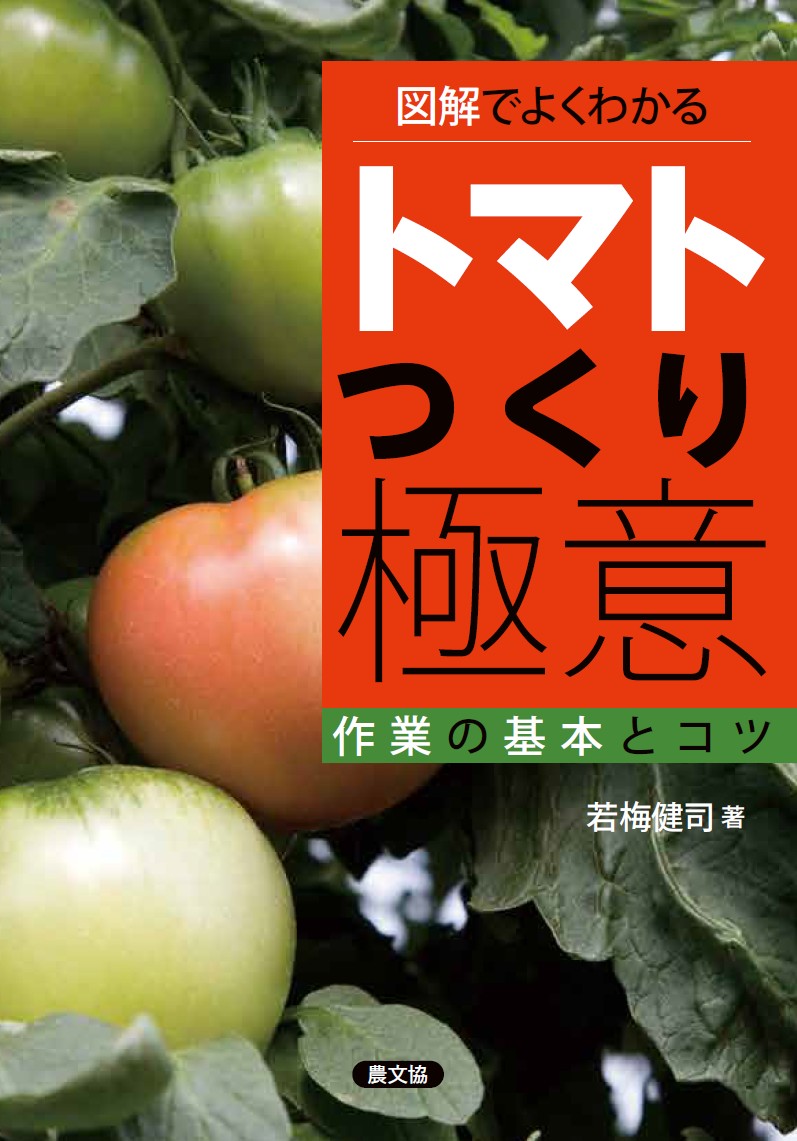 【中古】図解でよくわかるトマトつくり極意 作業の基本とコツ/農山漁村文化協会/若梅健司（単行本）