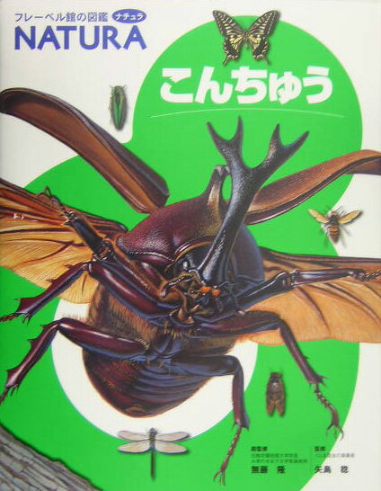 ◆◆◆全体的に使用感があります。のど割れがあります。中古ですので多少の使用感がありますが、品質には十分に注意して販売しております。迅速・丁寧な発送を心がけております。【毎日発送】 商品状態 著者名 矢島稔 出版社名 フレ−ベル館 発売日 2004年06月01日 ISBN 9784577028377