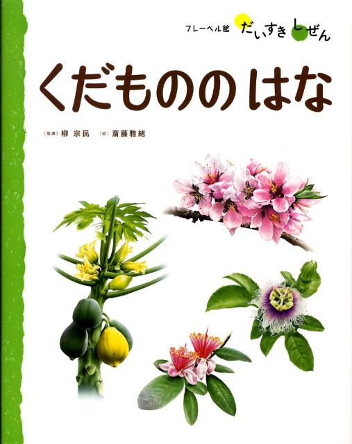 【中古】くだもののはな/フレ-ベル館/柳宗民（大型本）