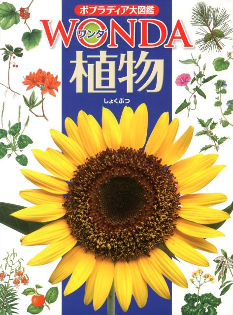 【中古】植物/ポプラ社/池田博（大型本）