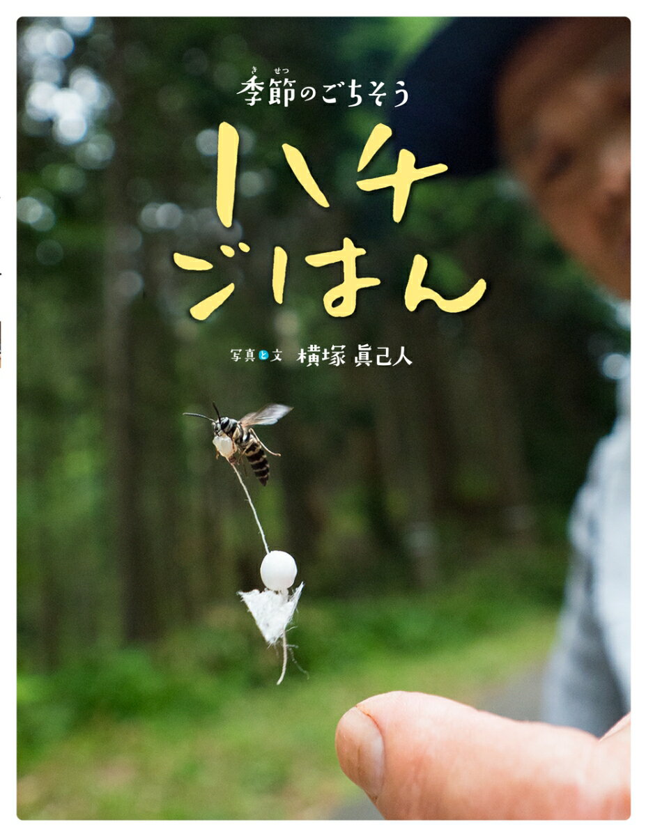 【中古】ハチごはん 季節のごちそう/ほるぷ出版/横塚眞己人（大型本）