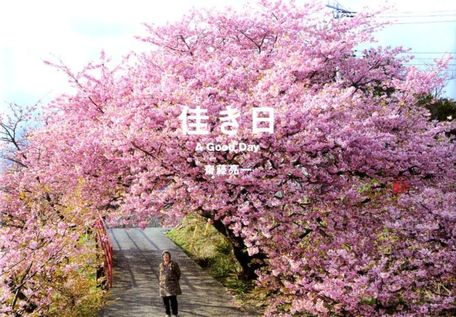 【中古】佳き日/パイインタ-ナショナル/斎藤亮一（単行本）