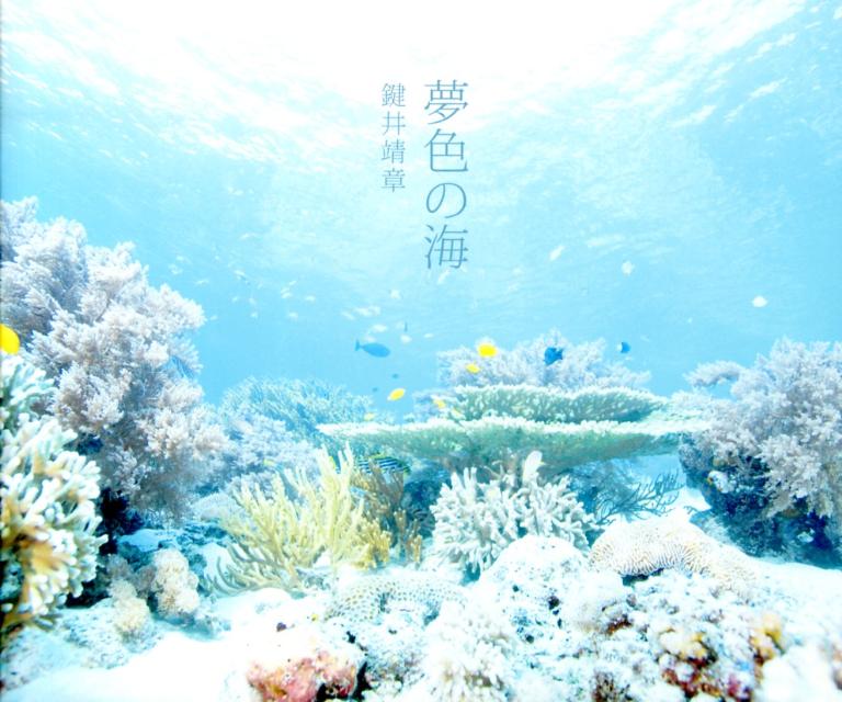 【中古】夢色の海/パイインタ-ナショナル/鍵井靖章（単行本（ソフトカバー））