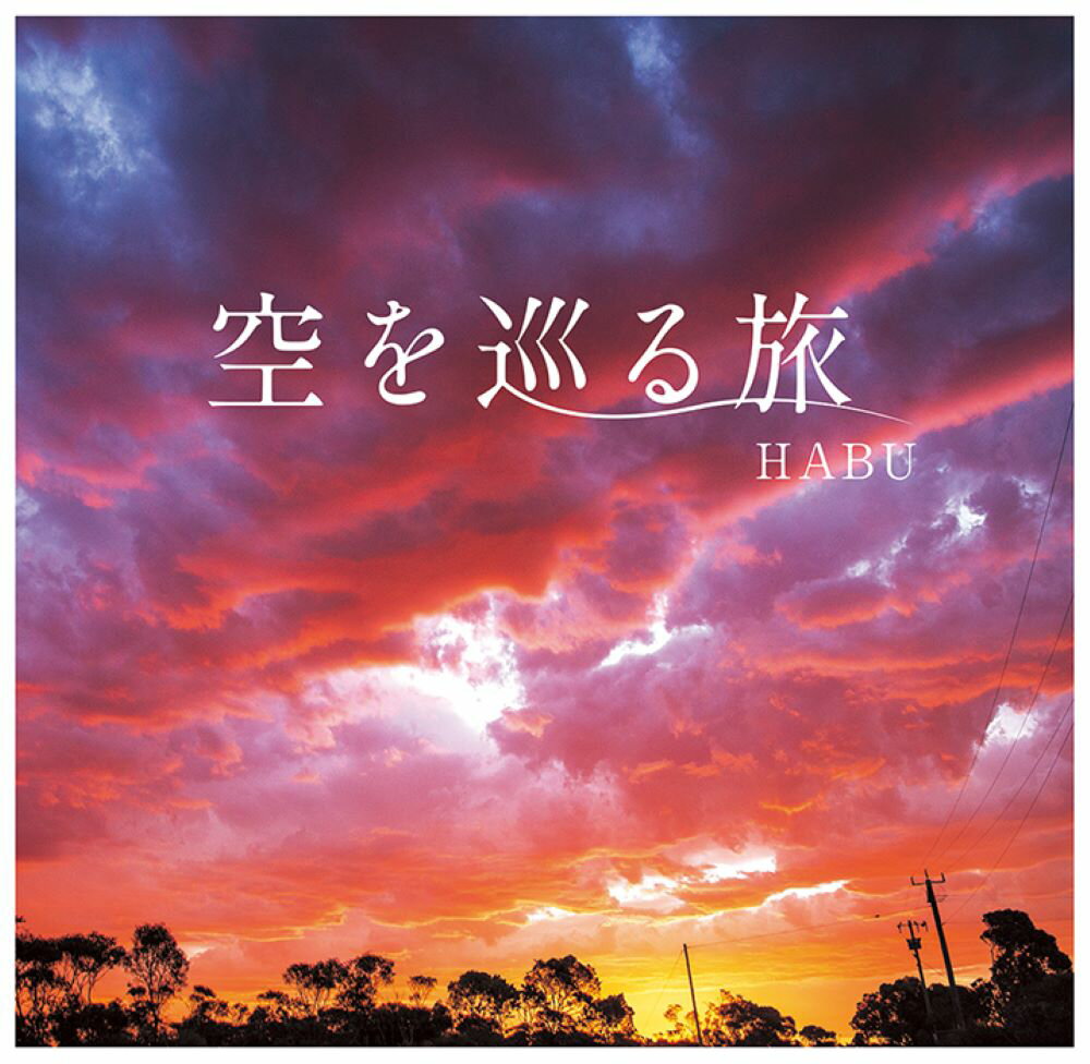 【中古】 プロフェッショナルの料理写真 美味しい写真のつくり方。 玄光社MOOK43／玄光社