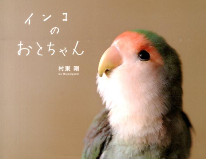 【中古】インコのおとちゃん/パイインタ-ナショナル/村東剛（単行本（ソフトカバー））
