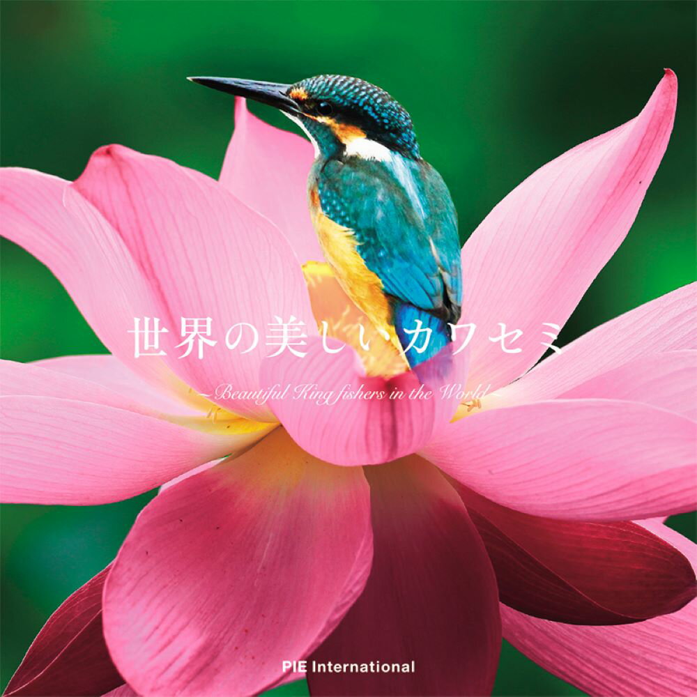 【中古】世界の美しいカワセミ/パイインタ-ナショナル/上田恵介（単行本（ソフトカバー））