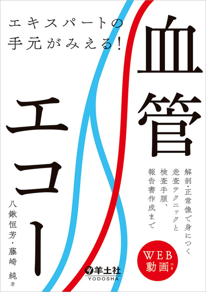 【中古】エキスパートの手元がみえる！血管エコー 解剖・正常像で身につく走査テクニックと検査手順、報/羊土社/八鍬恒芳（単行本）