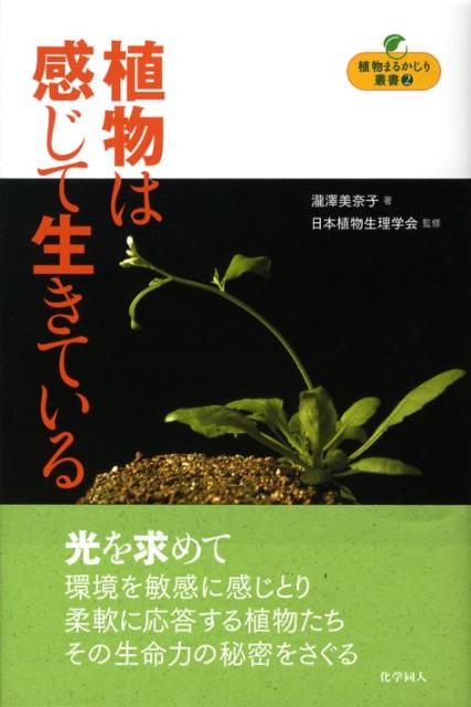 【中古】植物は感じて生きている/化学同人/瀧澤美奈子（単行本）