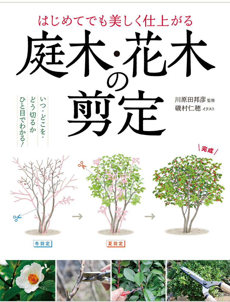 【中古】庭木・花木の剪定 はじめてでも美しく仕上がる/西東社/川原田邦彦（単行本）