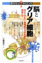 【中古】脳とグリア細胞 見えてきた!脳機能のカギを握る細胞たち/技術評論社/工藤佳久(単行本(ソフトカバー))
