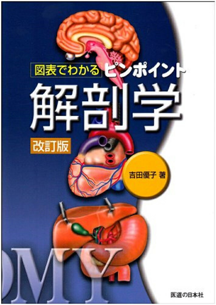 【中古】図表でわかるピンポイント解剖学 改訂版/医道の日本社/吉田優子（鍼灸師）（単行本）