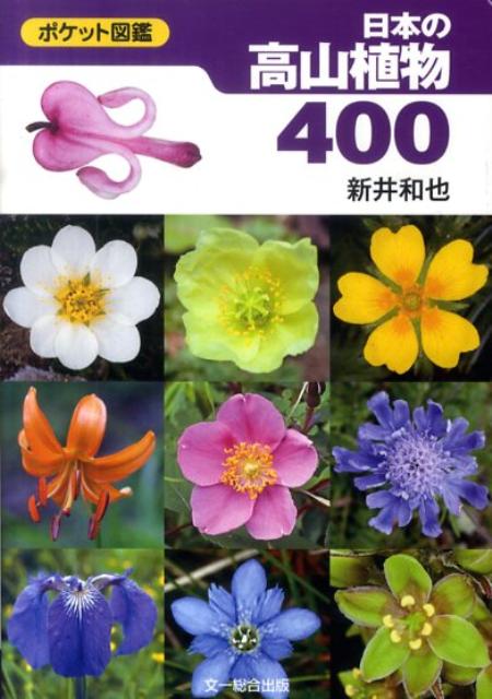 【中古】日本の高山植物400 ポケット図鑑/文一総合出版/新井和也（文庫）