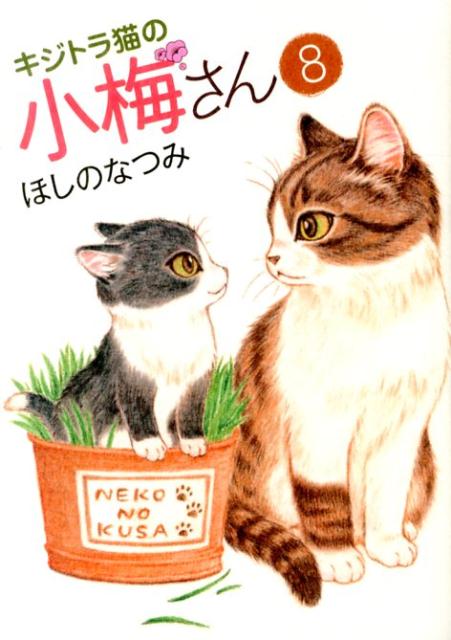 【中古】キジトラ猫の小梅さん 8/少年画報社/ほしのなつみ（コミック）