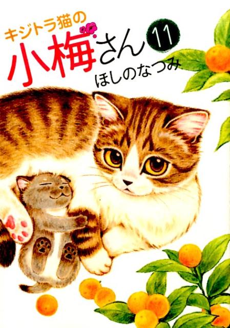 【中古】キジトラ猫の小梅さん 11/少年画報社/ほしのなつみ（コミック）