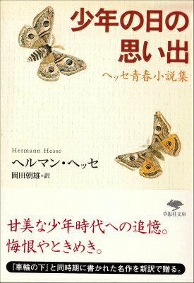 楽天VALUE BOOKS【中古】少年の日の思い出 ヘッセ青春小説集/草思社/ヘルマン・ヘッセ（文庫）