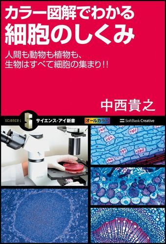 【中古】カラ-図解でわかる細胞のしくみ 人間も動物も植物も、生物はすべて細胞の集まり！！/SBクリエイティブ/中西貴之（新書）