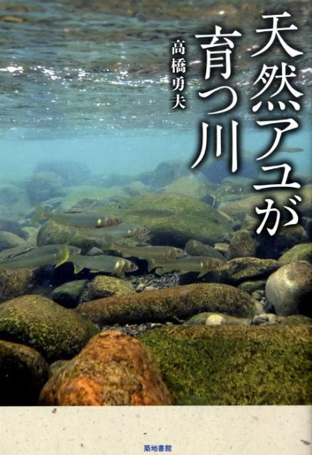 【中古】天然アユが育つ川/築地書館/高橋勇夫（単行本（ソフトカバー））