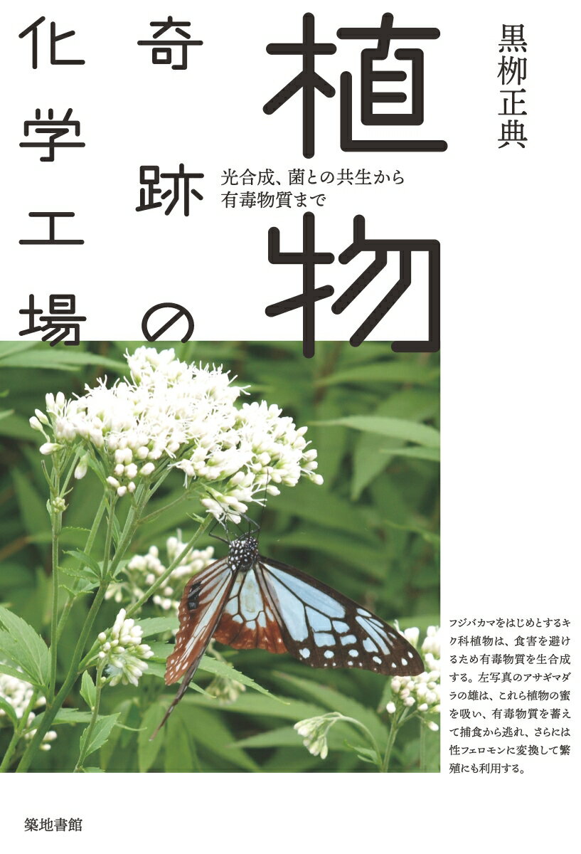 【中古】植物奇跡の化学工場 光合成、菌との共生から有毒物質まで/築地書館/黒□正典（単行本（ソフトカバー））