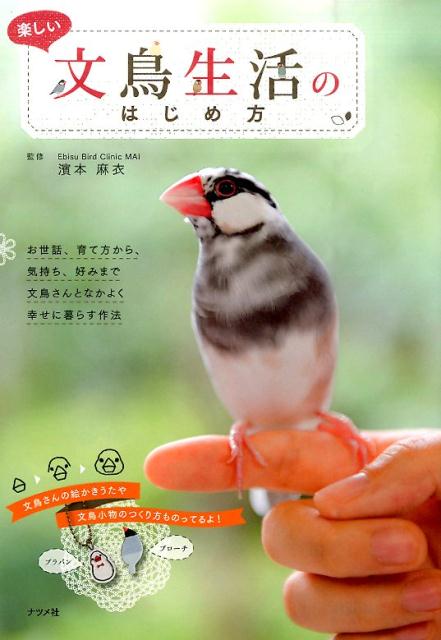 【中古】楽しい文鳥生活のはじめ方 文鳥さんとなかよく幸せに暮らす作法/ナツメ社/濱本麻衣（単行本）