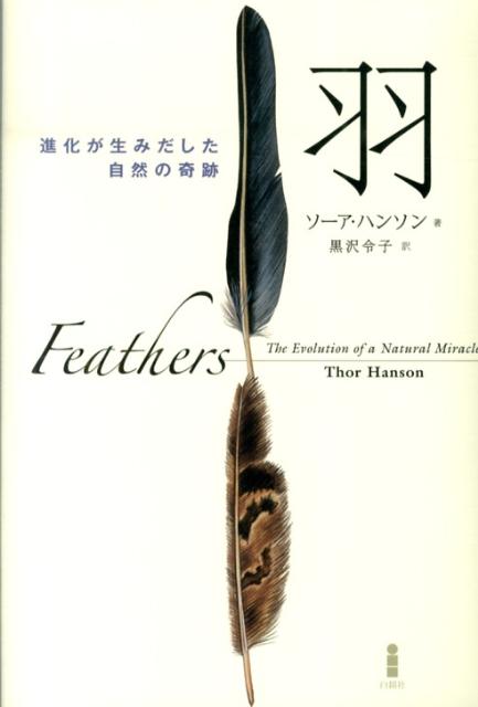 【中古】羽 進化が生みだした自然の奇跡/白揚社/ソ-ア・ハンソン（単行本）