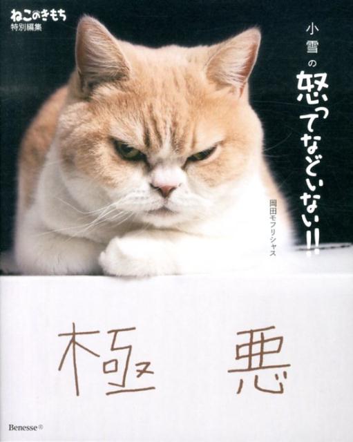 ◆◆◆おおむね良好な状態です。中古商品のため使用感等ある場合がございますが、品質には十分注意して発送いたします。 【毎日発送】 商品状態 著者名 岡田モフリシャス 出版社名 ベネッセコ−ポレ−ション 発売日 2013年12月 ISBN 9784828866581