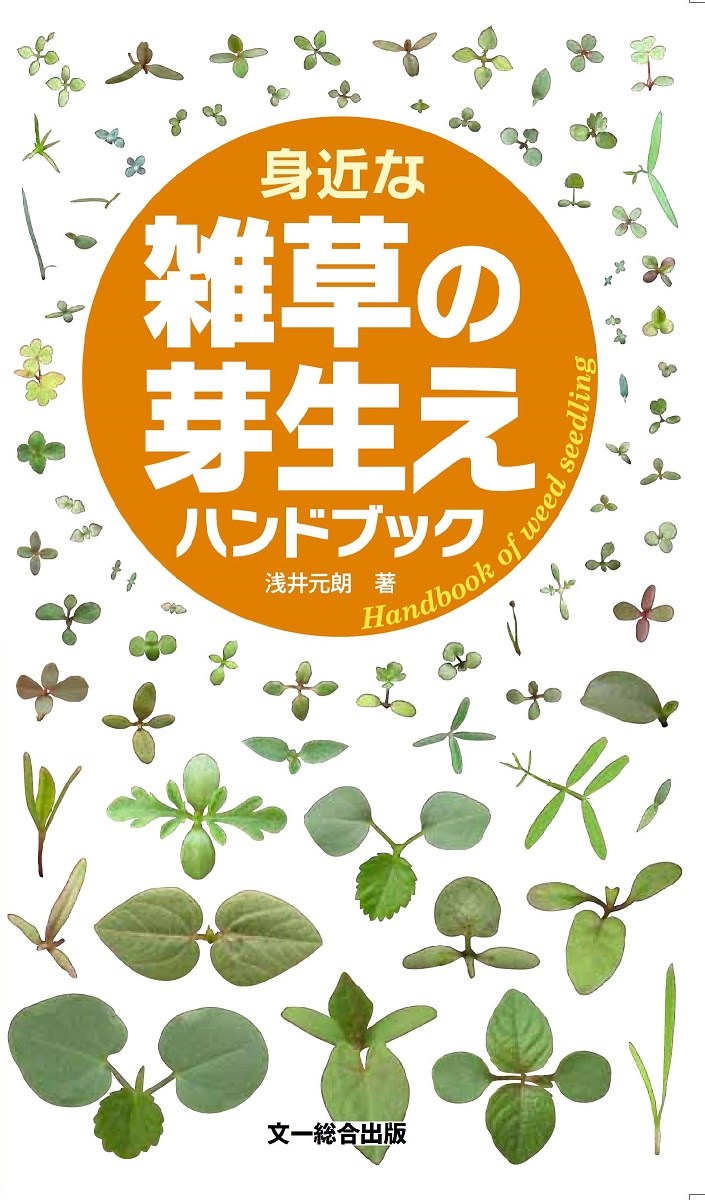 【中古】身近な雑草の芽生えハンドブック/文一総合出版/浅井元朗（新書）