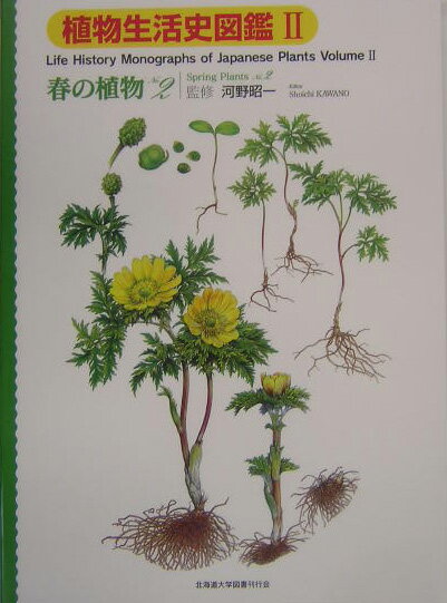 【中古】植物生活史図鑑 2/北海道大学出版会/河野昭一（大型本）