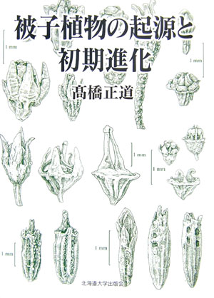 【中古】被子植物の起源と初期進化/北海道大学出版会/〓橋正道（化石研究）（単行本）