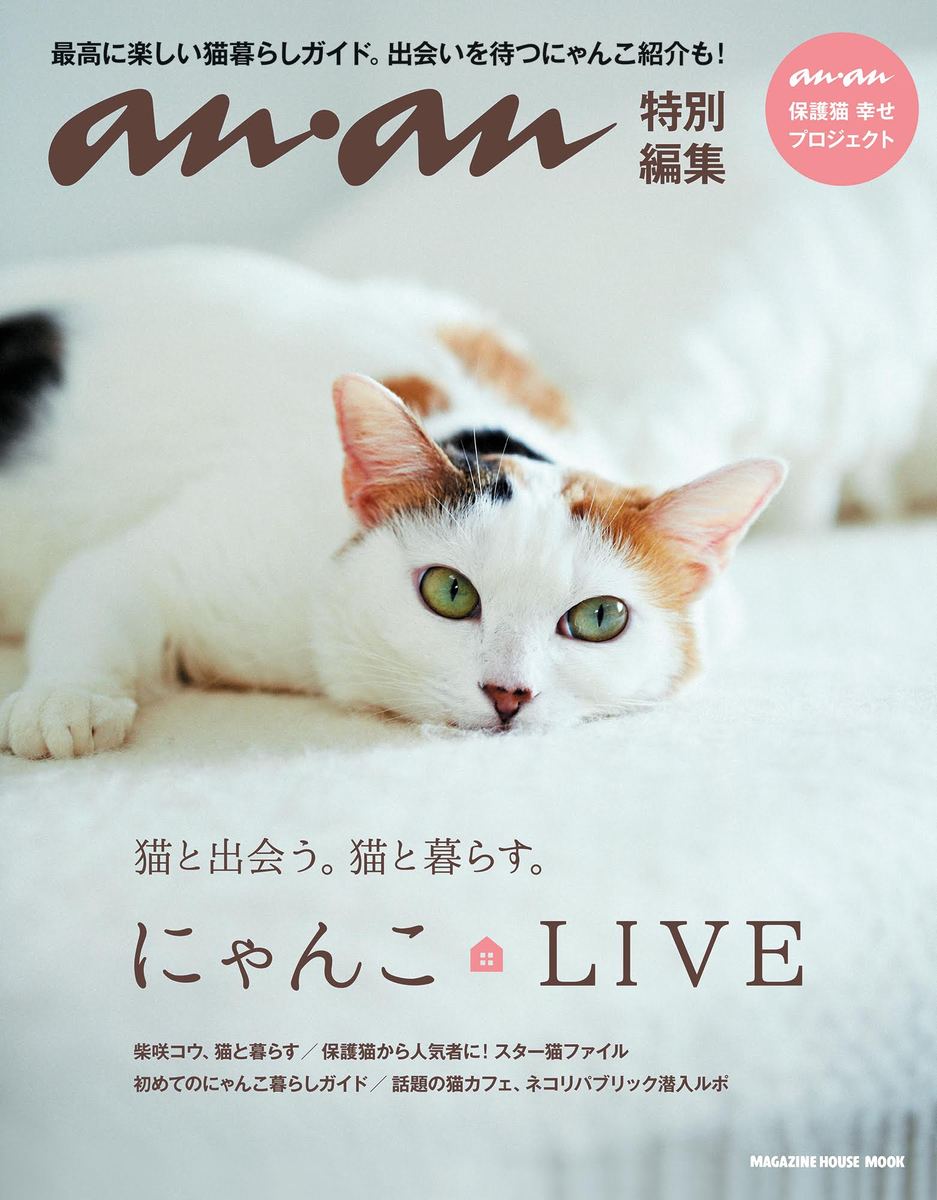 【中古】にゃんこ　LIVE an・an特別編集/マガジンハウス（ムック）