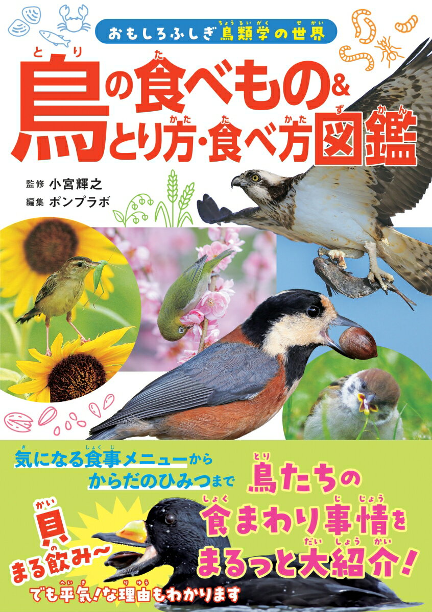 【中古】鳥の食べもの＆とり方・食べ方図鑑/カンゼン/小宮輝之（単行本（ソフトカバー））