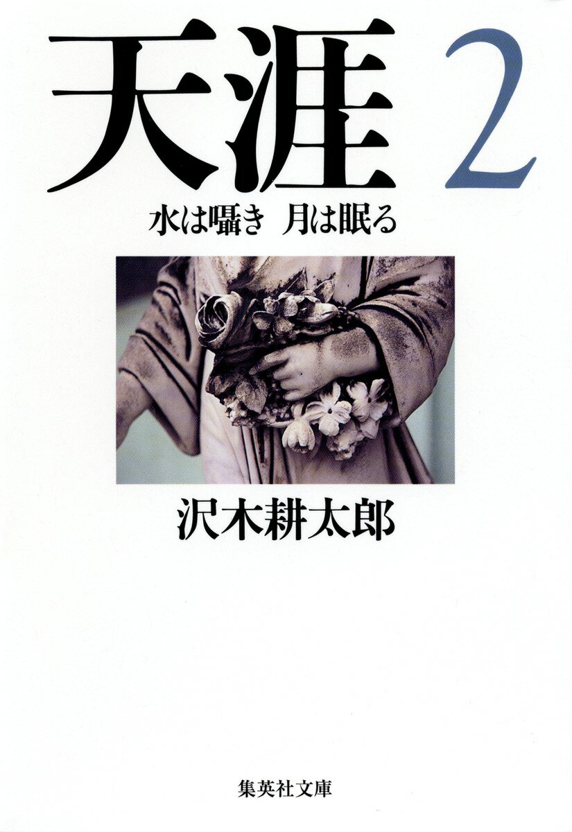 楽天市場】沢木耕太郎 天涯の通販