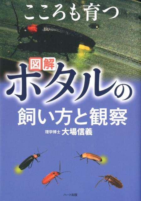 【中古】ホタルの飼い方と観察 図解/ハ-ト出版/大場信義（単行本（ソフトカバー））