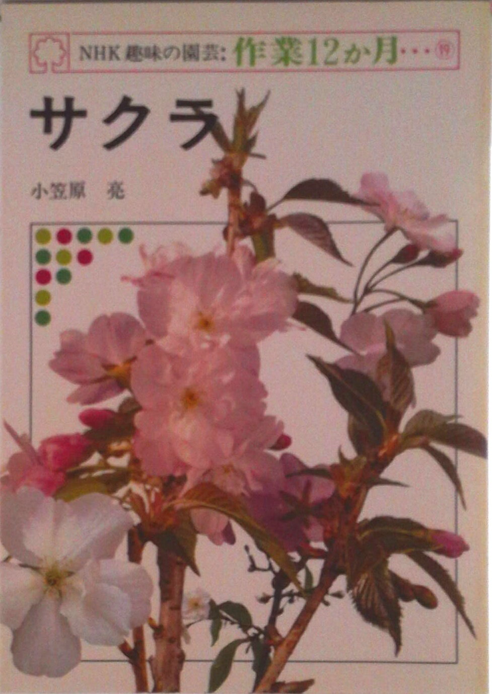 【中古】サクラ/NHK出版/小笠原亮（単行本）