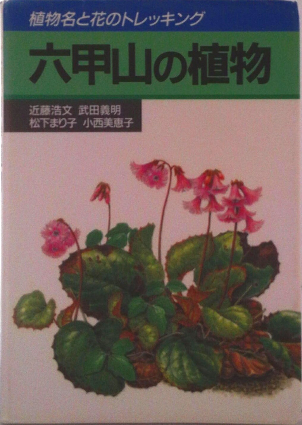 【中古】六甲山の植物（単行本）