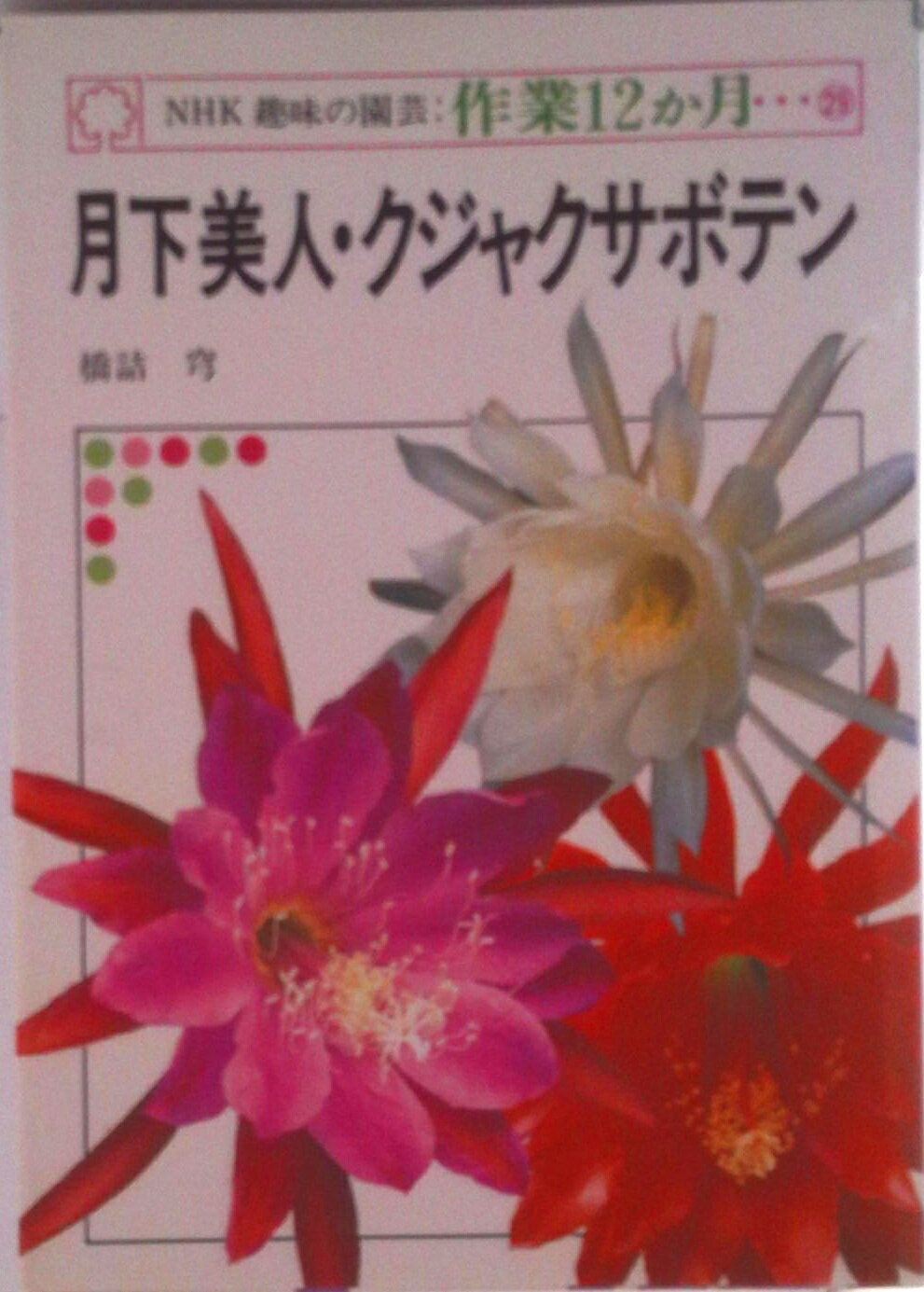 【中古】月下美人・クジャクサボテン/NHK出版/橋詰穹（単行本）