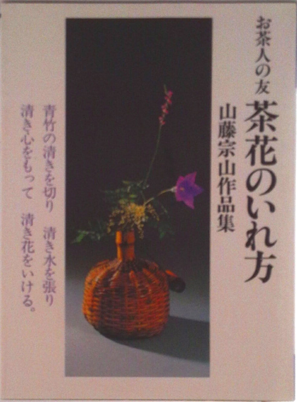 ����š���֤Τ���������ƣ�������ʽ�/����ʸ����/��ƣ������ñ���ܡ�