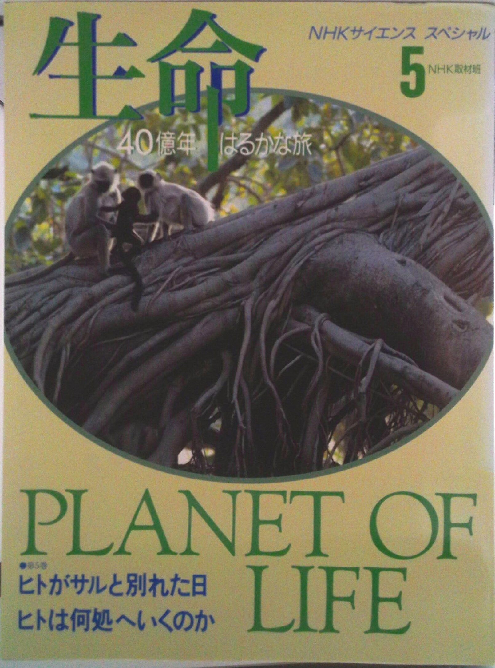 【中古】生命 40億年はるかな旅 5/NHK出版/日本放送協会（大型本）