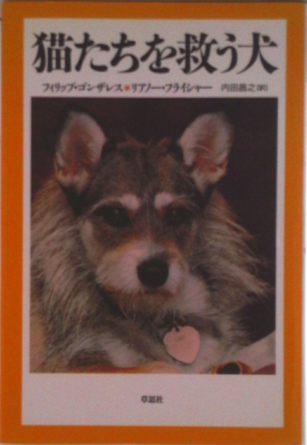 【中古】猫たちを救う犬/草思社/フィリップ・ゴンザレス（単行本）