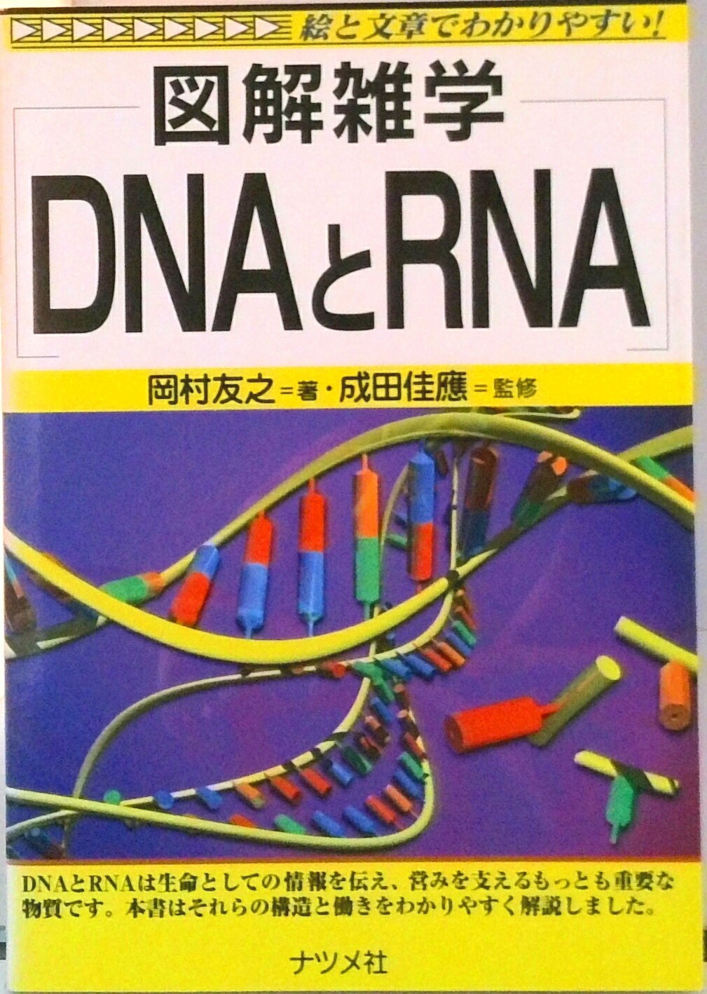 【中古】DNAとRNA 図解雑学　絵と文章でわかりやすい！/ナツメ社/岡村友之（単行本）