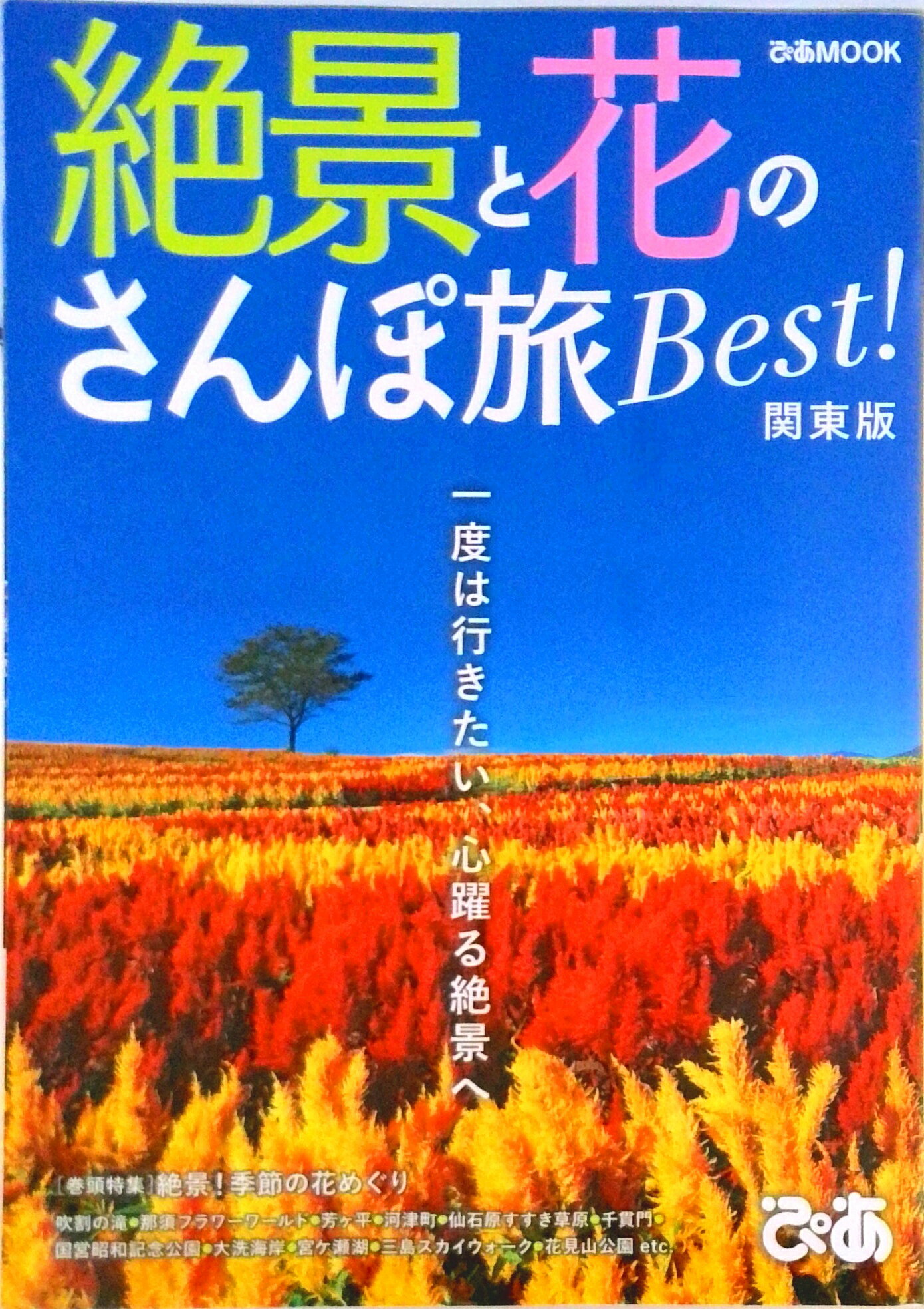 【中古】花と絶景のさんぽ旅BEST関東版/ぴあ（ムック）