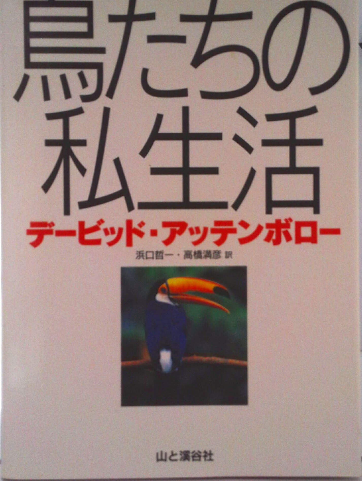 【中古】鳥たちの私生活/山と渓谷社/デ-ヴィド・アッテンボロ-（単行本）