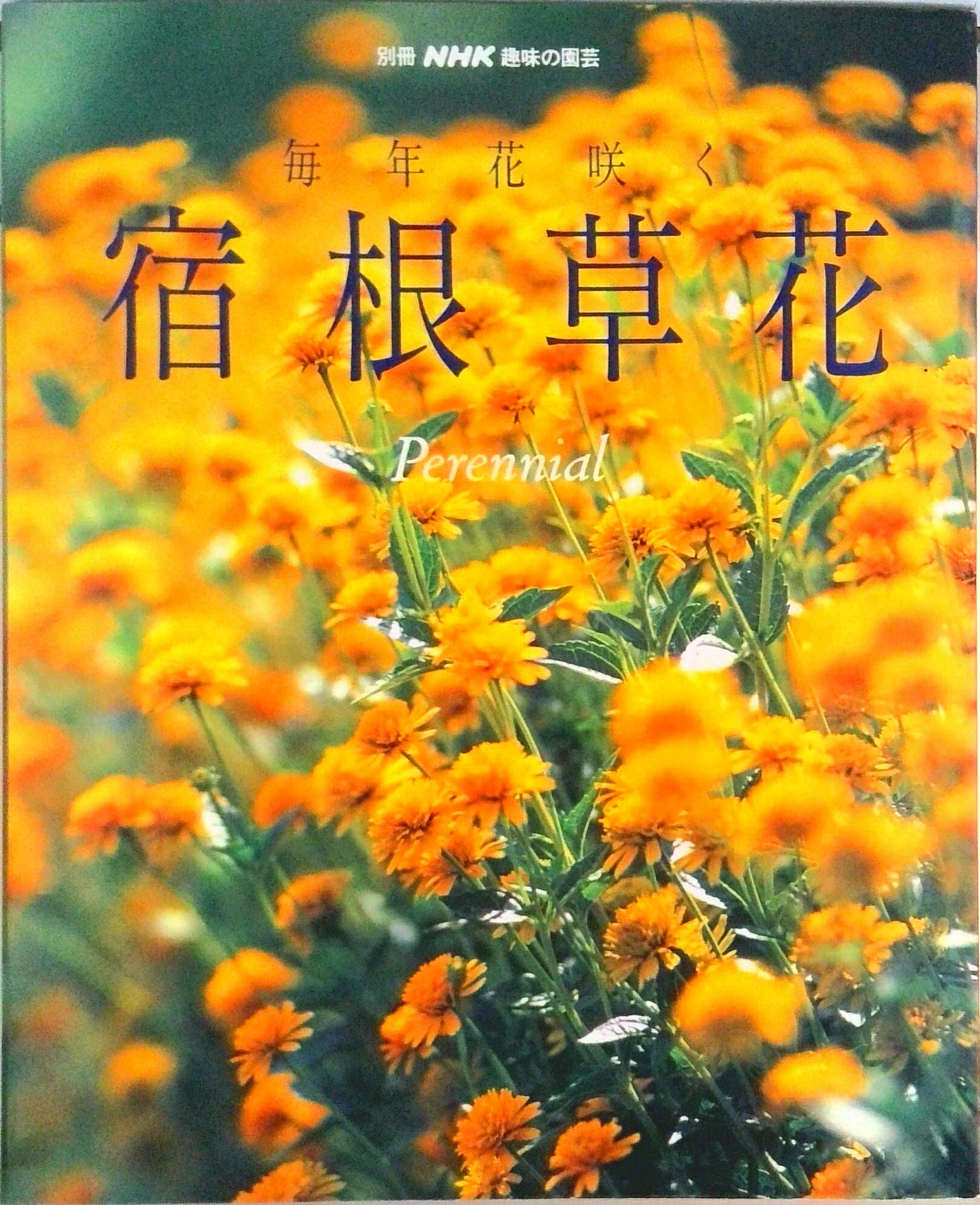 【中古】毎年花咲く宿根草花/NHK出版（ムック）