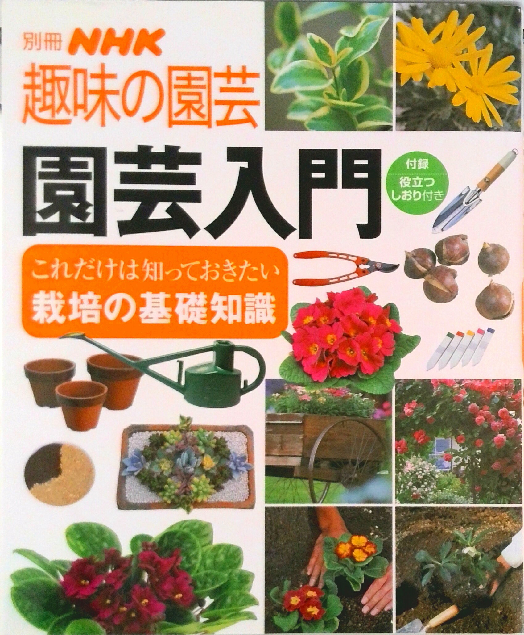 【中古】園芸入門 これだけは知っておきたい栽培の基礎知識/NHK出版（ムック）