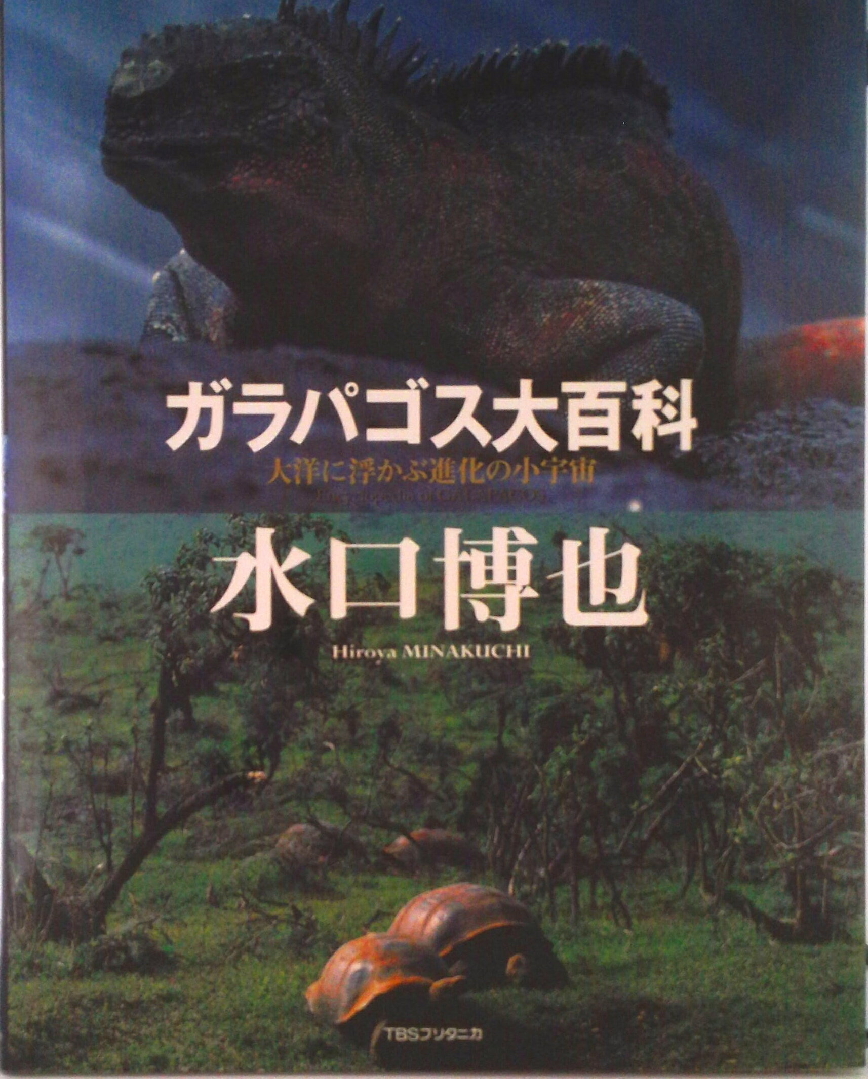 ����šۥ���ѥ�����ɴ�� ���Τ��⤫�ֿʲ��ξ�����/TBS�֥꥿�˥�/���������緿�ܡ�