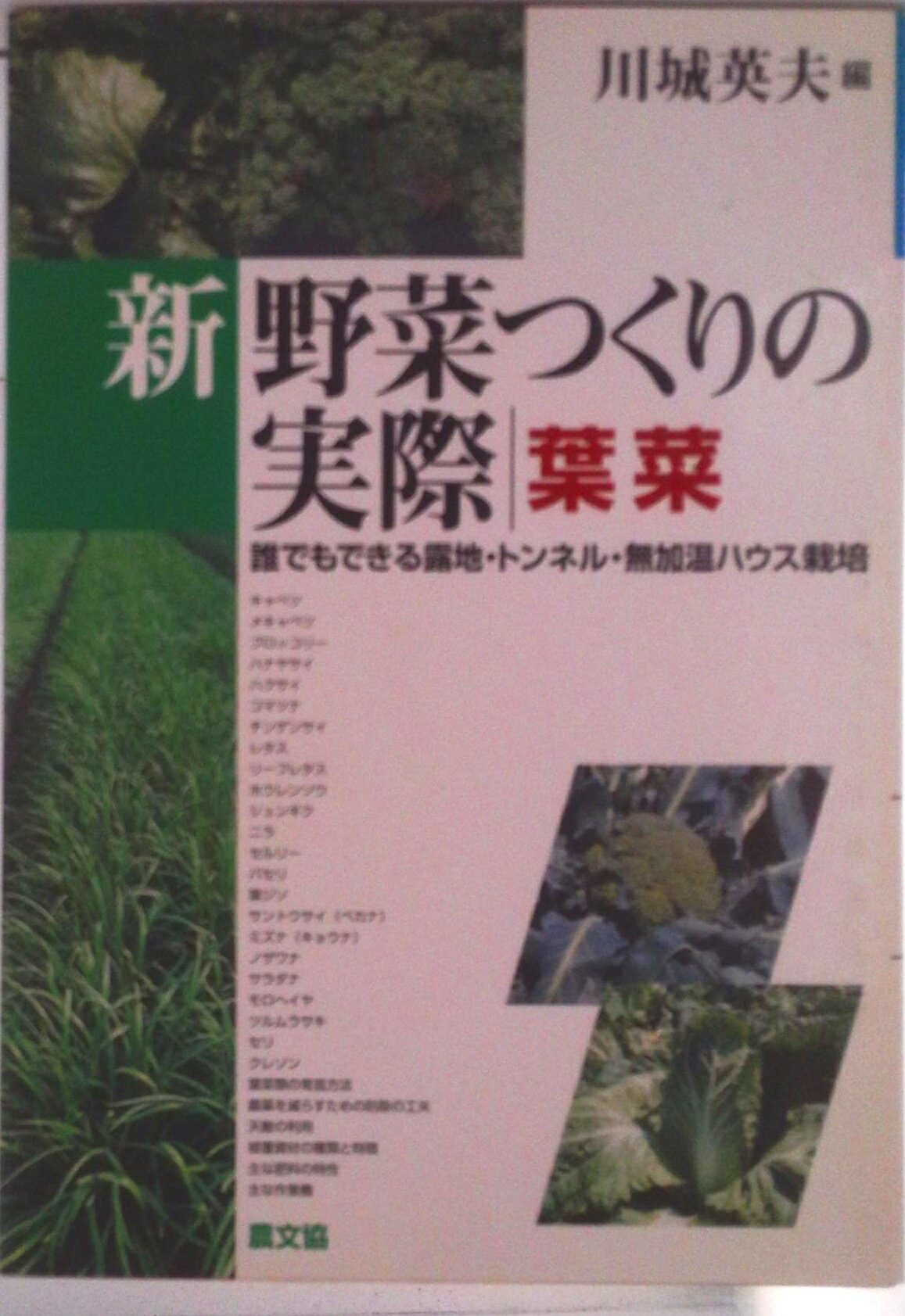 【中古】新野菜つくりの実際　葉菜 誰でもできる露地・トンネル・無加温ハウス栽培/農山漁村文化協会/川城英夫（単行本）