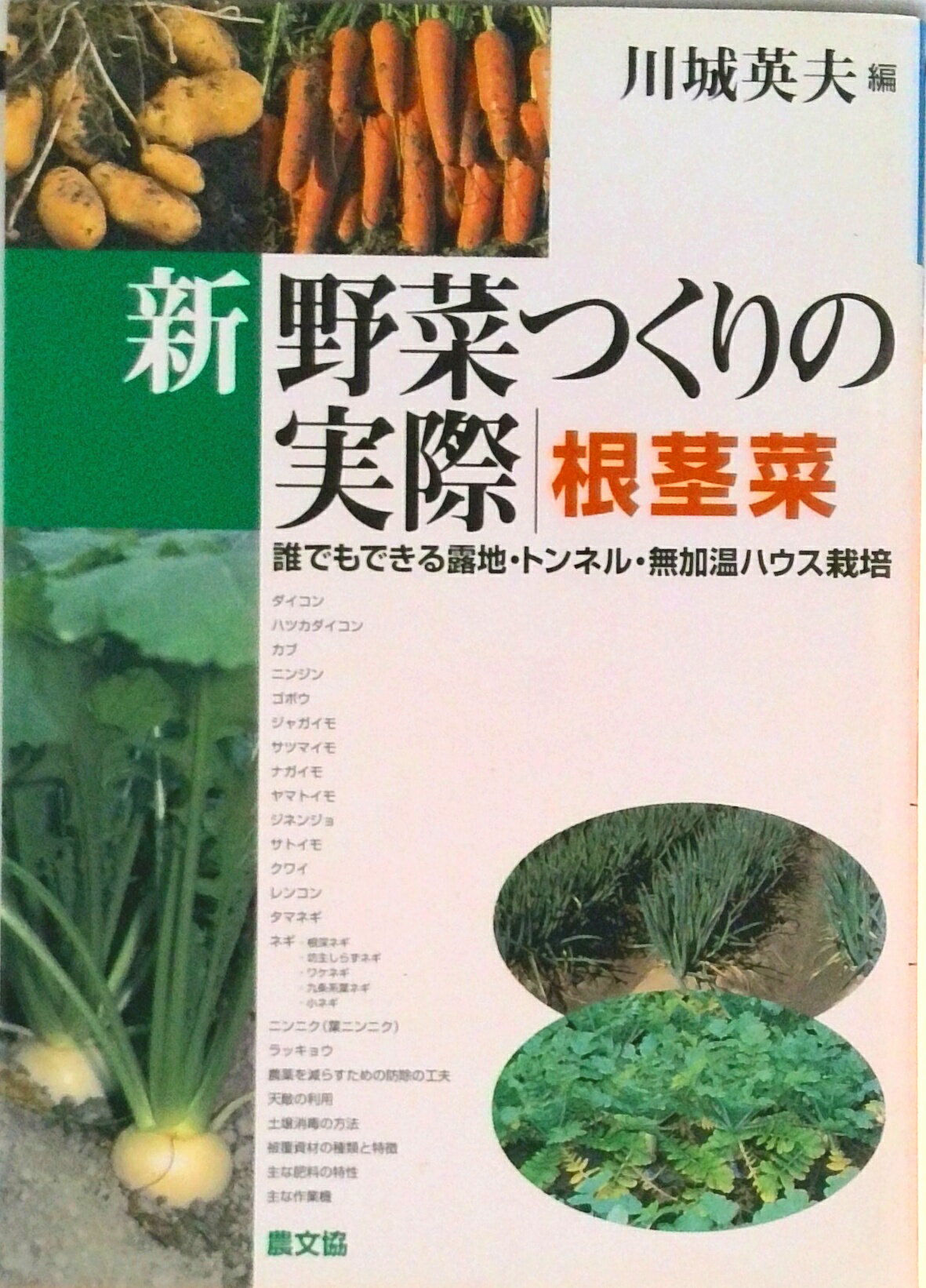 【中古】新野菜つくりの実際　根茎菜 誰でもできる露地・トンネル・無加温ハウス栽培/農山漁村文化協会..