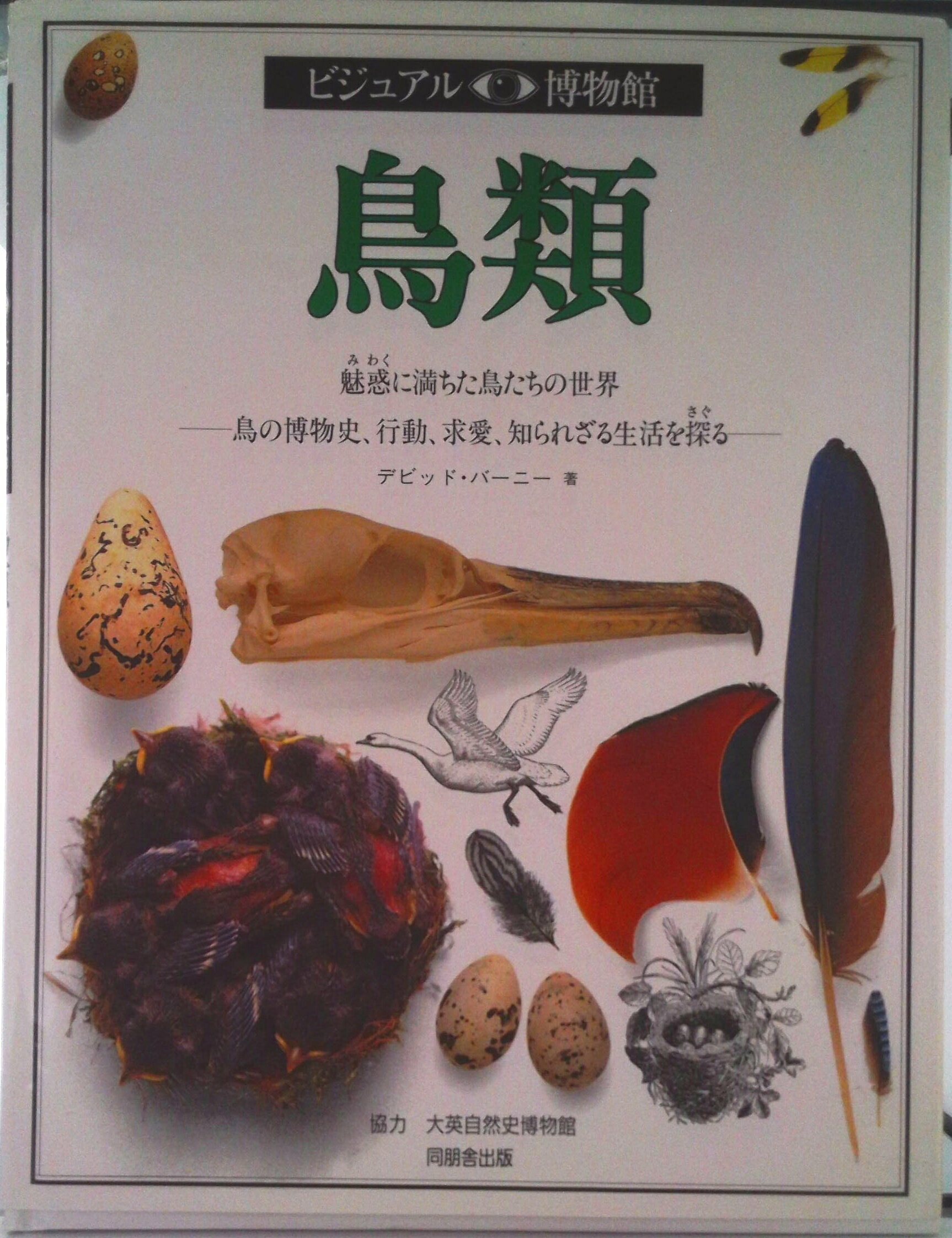 【中古】ビジュアル博物館 第1巻/同朋舎/リリ-フ・システムズ（大型本）