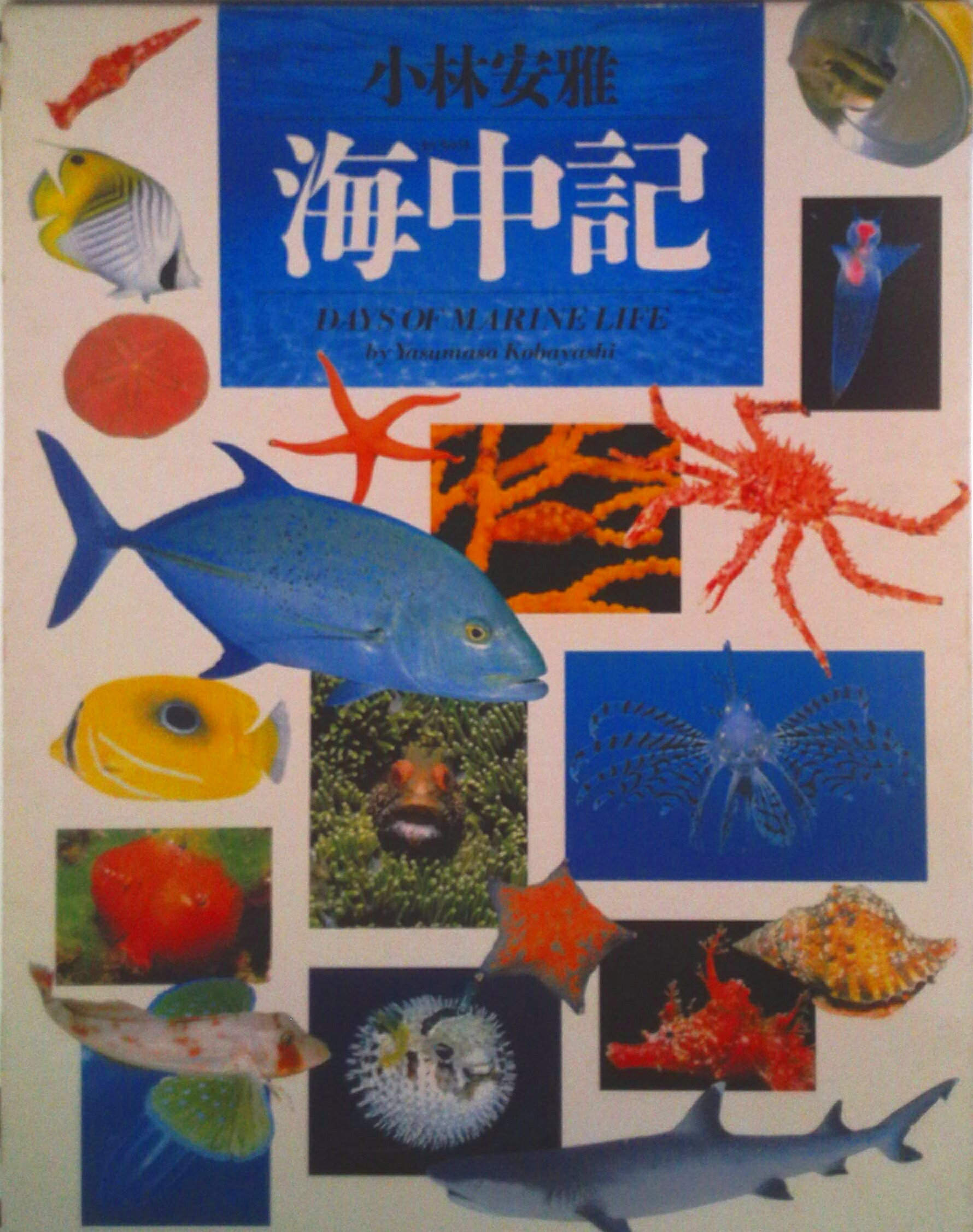 【中古】海中記/福音館書店/小林安雅（単行本）